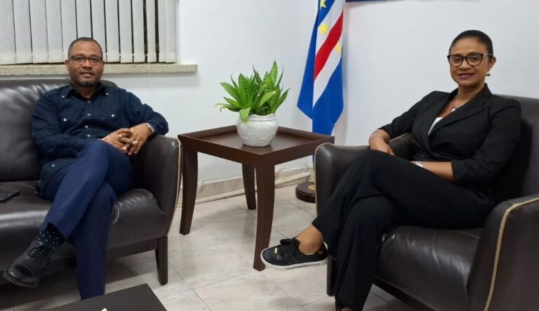 Politiques pour la diaspora : entretien entre la Secrétaire d’État et le député Teixeira